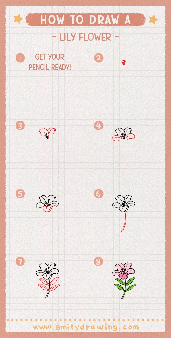 how to draw a lily flower pinterest pin